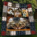 cute american curl cat pet lover blanket th1807 quilt d2357811