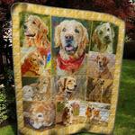 cute golden quilt blanket ver 2 quilt d2323503
