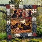 cute scottish terrier pets dog quilt bfq fuct2109 d2387387