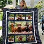 dachshund 3d customized quilt blanket 1939 d2319998