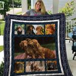 dachshund 3d customized quilt blanket 1943 d2320000