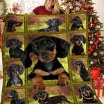 dachshund hur quilt bevrls d2388427