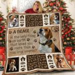 dachshund i am a fool u quilt pn d2389826