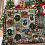 dachshund x2412 aio loyalty 3d customized quilt d2314586