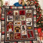 dachshunds funny puppy dachshund doxie wiener dog lovers cl291220336mi quilt blanket d2315615