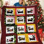 dachshunds in my home dachshund doxie wiener dog lovers cl291220142mi quilt blanket d2315529