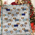 dachshunds in my home dachshund doxie wiener dog lovers cl291220151mi quilt blanket d2316105