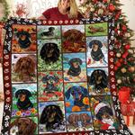 dachshunds in my home dachshund doxie wiener dog lovers cl291220366mi quilt blanket d2316553
