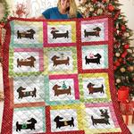 dachshunds in my home dachshund doxie wiener dog lovers cl291220368mi quilt blanket d2315781