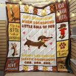 dachshunds little ball of fur dachshund doxie wiener dog lovers cl11012003mi quilt blanket d2315659