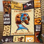 dachshunds lovely dachshund doxie wiener dog lovers cl150121005at quilt blanket d2316373