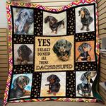 dachshunds lovely dachshund doxie wiener dog lovers cl150121008at quilt blanket d2316399