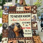 dachshunds the love of a dachshund dachshund doxie wiener dog lovers cl291220099mi quilt blanket