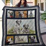 dalmatian four five seconds quilt blanket dhc020120706td d2358146
