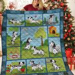 dalmatian jfj quilt rbs d2387685