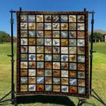 dinosaur td2809399 quilt blanket d2357509