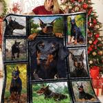doberman jfj quilt ovb d2391167