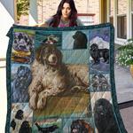 dog newfoundland quilt blanket d2350498