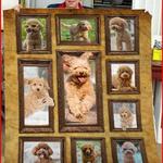 donkey sunny side up u quilt ro d2389613