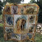elephant 1103 44 quilt blanket quilt d2321573
