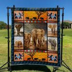 elephant td2809454 quilt blanket d2357214