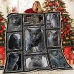england short hair cat quilt blanket abc06011020 d2318658