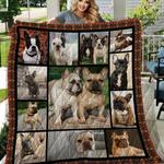 frenchie play with these cute frenchies quilt blanket dhc0201201230td d2379846