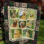golden 1 quilt d2386006