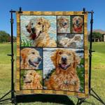 golden dog dhcld0909 quilt blanket d2317364