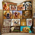 golden retriever dont push me quilt blanket dhc020120894td d2358316