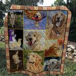 golden retriever im so fun quilt blanket dhc020120597td d2358373