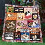 guinea pig quilt fmh d2391171