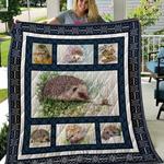 hedgehog quilt wgd d2391022