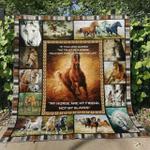 horse hn230713b quilt blanket d2356085