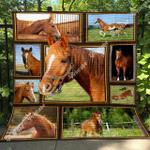 horse quilt qic d2390556