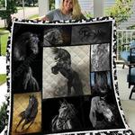 horse u quilt ib d2389812