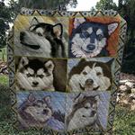 husky dog 1 quilt d2385881