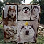 husky dog 4 quilt d2385879