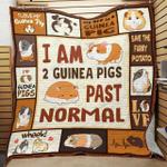 i am 2 guinea pigs past normal quilt blanket great customized blanket gifts for birthday christmas