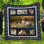 jack russell terrier cl08110272mdq quilt blanket d2355240
