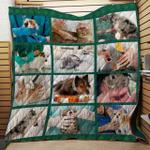 keep calm this is vet tech blanket th1707 quilt d2356727
