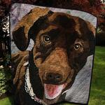 labrador nn180515 quilt blanket d2357569