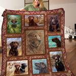 labrador quilt hxq d2391144
