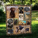 labrador retriever cute hur quilt bevrdy d2388492
