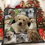 labrador retriever hexa vintage 3d customized quilt d2314788