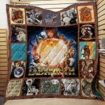 labyrinth quilt blanket lbr01 quilt d2324303