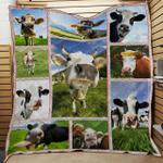 lovely cows awesome quilt dsf d2390753
