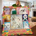maltese quilt gwn d2387444