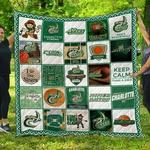 ncaa charlotte 49ers 3d customized personalized quilt blanket 1294 d2319700
