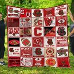 ncaa cornell big red 3d customized personalized quilt blanket 1528 d2319064